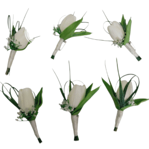 Tulip Boutonniere