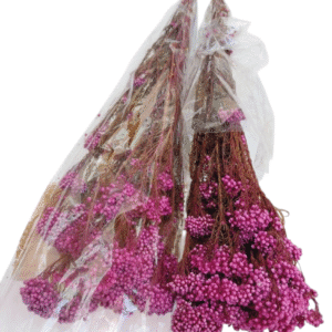 Preserved Rice Flower