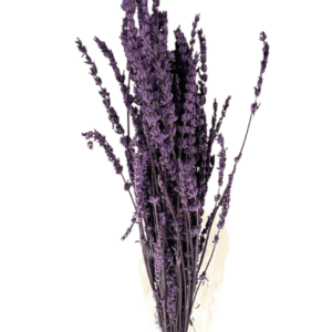 Lavender Flower