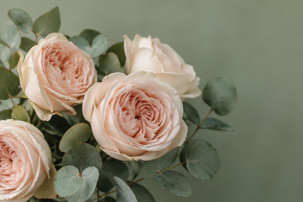detail blooms